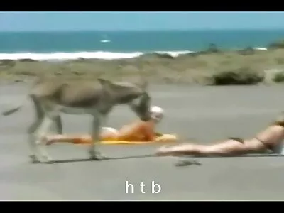 Секс в кухнята аматьорско бг порно с големи гърди.