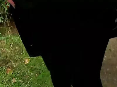 Секс на вратата на български порно актриси колата.